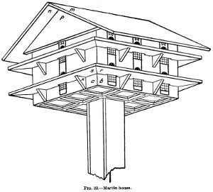 Illustration of a bird house