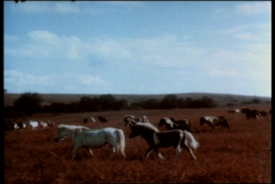 ranchcountry