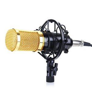 Floureon BM 800 Condenser Recording Microphone