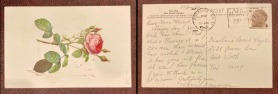 front of the postcard with an image of a flower and its stem, the back of the postcard with writing from Harriet Nicewonger