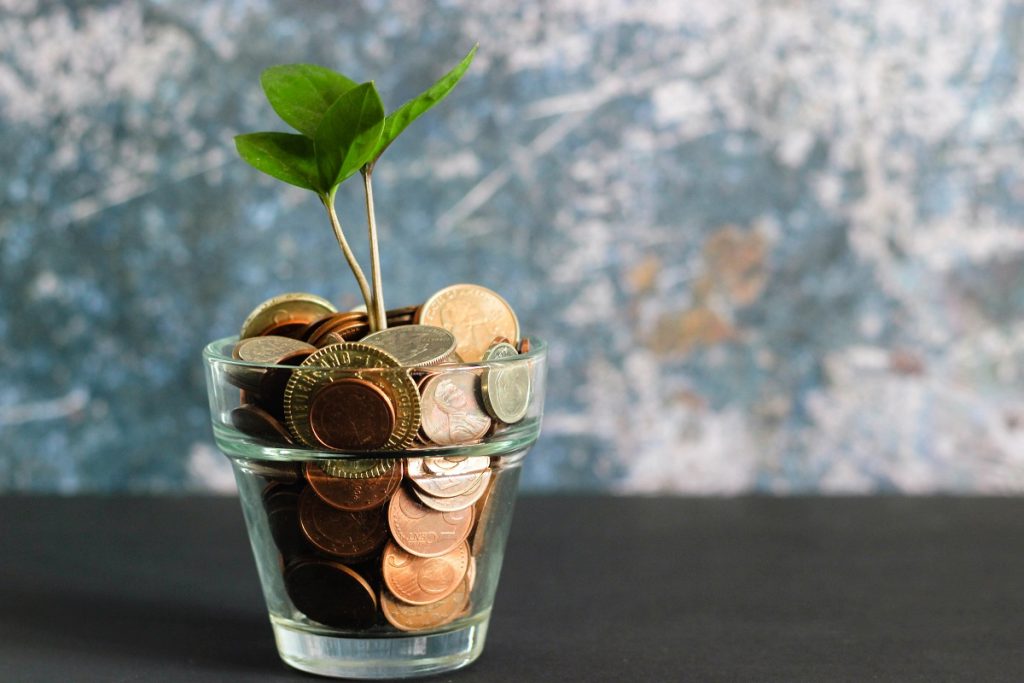 Green plant in a clear glass vase filled with coins