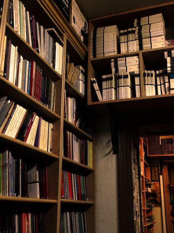 Interior of Bookstore: corner shelf of books. 