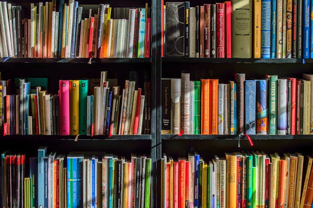 Books shelf filled with books