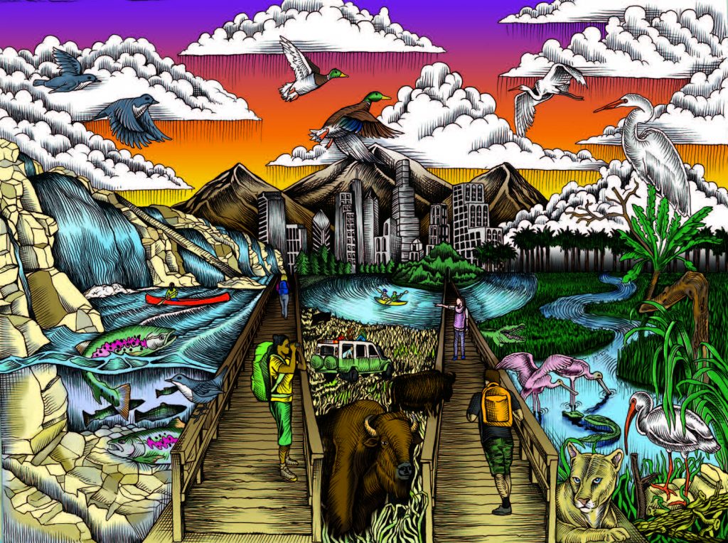 Marlon Preuss illustration for Fish and Wildlife Service "Find Your Way" coloring book