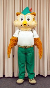 New Woodsy Owl Costume