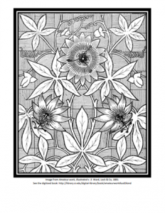 Coloring page from Smithsonian Libraries